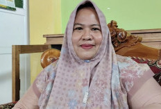 Wabah Ngorok Ancam Kerbau di Mukomuko, Populasi Anjlok hingga 1.000 Ekor