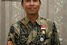 DRH Tuntas, NIP PPPK Diusulkan, Segini Jumlah PPPK Tahap II di Lingkungan Pemda Provinsi Bengkulu