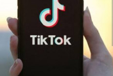 Komdigi Bekukan Sementara Izin Operasional TikTok, Begini Alasannya 
