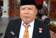 Tindaklanjuti Rencana Beli Pesawat, Dishub Provinsi Bengkulu Konsultasi ke Pihak Ini