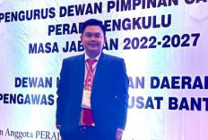 Pilkada 2024, Aan Julianda  SH MH : Gubernur Petahana, Rohidin Mersyah Dapat Maju