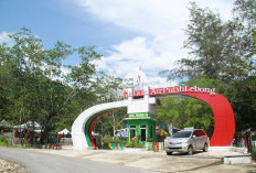  Wisata Pulau Harapan di   Lebong Belum Bayar Pajak  	