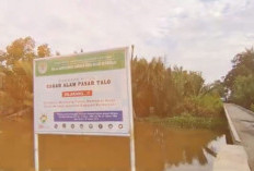 BKSDA Turunkan Tim,   Cek Cagar Alam Pasar Talo
