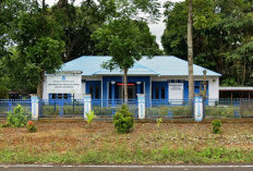  Minta Plt Kadis Diganti,   ASN Surati Bupati Lebong