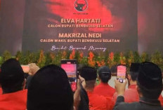 PDIP Usung Elva dan Makrizal  di Pilkada BS, Ini Partai Koalisinya