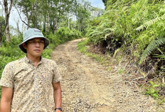Jembatan Akses Penghubung Memprihatinkan