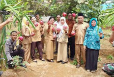 Kemandirian Pangan dari Pekarangan, Meniru Sukses Buah Naga  dari Desa Sumber Mulya
