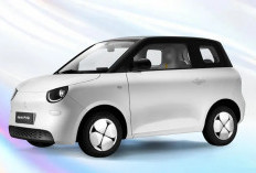Wuling Hadirkan Merek Mobil Baru untuk Bidik Konsumen Muda