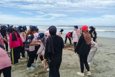 Jaga Kebersihan Destinasi Wisata, Mahasiswa FEB UNIB dan Dispar Bengkulu Kompak Bersihkan Pantai Panjang