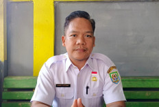 Pendataan Diperluas, Pajak Alat Berat Dongkrak PAD Bengkulu Utara