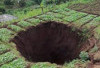  Fenomena Sinkhole Juga Ditemukan di Agam, Muncul di Tengah Sawah Warga