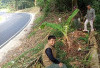  KPHL Bukit Daun Jaga   Habitat Satwa Liar di Benteng