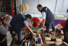 Jelang Puncak HUT ke-67 Bengkulu Utara, Polres Sita 558 Botol Miras dalam Razia Cipta Kondisi