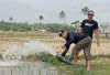 Irigasi Pompa di Mukomuko Selesai Dibangun, 40 Ha Sawah Terairi, Ini Titiknya