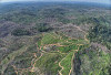 Ribuan Hektare Hutan Rusak