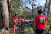 Puncak Kemarau, 7 Kebakaran Lahan Terjadi di Rejang Lebong