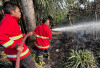 Kemarau Ekstrem, 2 Hektare Lahan Kebun Terbakar