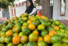 Tidak Banyak Yang Tahu, 9 Buah Ini Bisa Bikin Tubuh Anak Jadi  Tinggi, Cek Apa Saja 