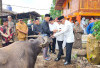 Jelang Pemberian Gelar Adat, Bupati Kepahiang Serahkan 1 Ekor Kerbau ke LARK 