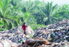 Realisasi PAD Sampah Belum 50 Persen, Ini Penjelasan Kabid Pengolahan Sampah dan Limbah B3 DLH Kota Bengkulu