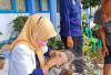 Waspada! Ada 61 Kasus Rabies di Kota Bengkulu 
