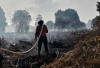 126 Kecamatan di Provinsi Bengkulu Berpotensi Karhutla, 14 Kecamatan Kategori Tinggi
