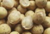 Sedang Musim, Ini Manfaat dan Kandungan Nutrisi Buah Duku bagi Kesehatan yang Jarang Diketahui