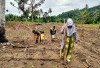 Tingkatkan Ketahanan Pangan, Dukung Produksi Pangan Lokal