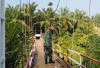 Jembatan Gantung Padang Merbau Hampir Rampung
