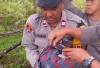 Ibu Bayi Diduga Masih Mahasiswi, Sempat Minta Dinikahkan, 2 Pria Diamankan Polisi