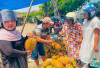 Panen Melimpah, Durian Diserbu Pembeli