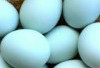 Konsumsi  Telur Bebek, Ini Khasiatnya Bagi Kesehatan