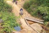 Petani Kedurang Harap Pemerintah   segera Bangun Jalan Sentral Pertanian