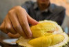 Kenali 7 Efek Makan Durian di Malam Hari Bagi Kesehatan 