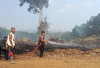  3 Ha Lahan Warga di Benteng Terbakar