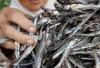 Jangan Remehkan Ikan Teri! Kecil-Kecil Kaya Nutrisi, Kenali  Manfaatnya untuk Kesehatan